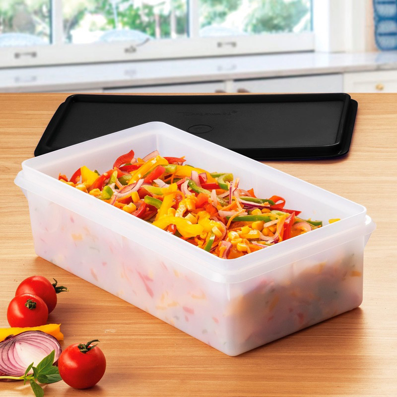 Tupperware Caixa 2,5 L Freezer Completa Ou Acessórios | Shopee Brasil
