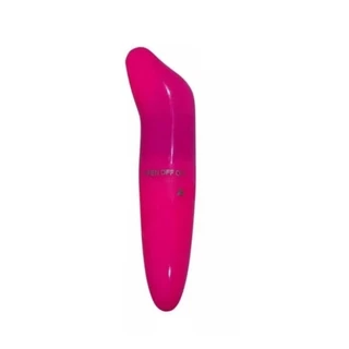 Vibrador Feminino Golfinho Ponto G Toque Liso Pequeno Discreto