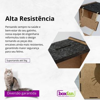 Kit Playground para Gato de 4 Peças com 2 Nichos Casinha com Carpete ...