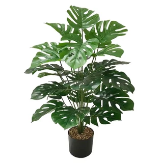 Arvore Costela de Adão 70cm com 24 folhas Para Decoração