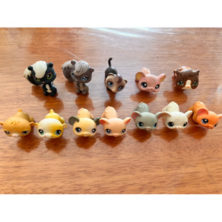 Littlest Pet Shop Toys Mini Figures LPS Animal Cat Brazil