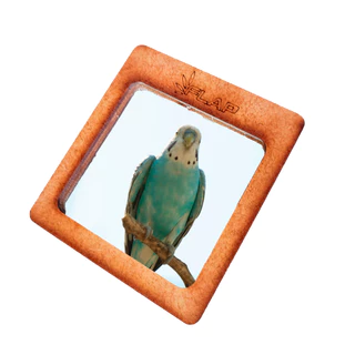 Espelho P brinquedo calopsita, periquito, agaporni brinquedo para gaiola, aves