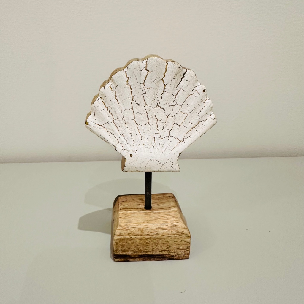 Escultura madeira formato Concha 9x14x5cm | Shopee Brasil