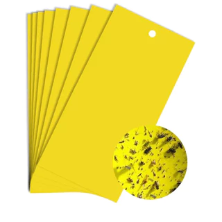 10-50pcs Armadilha Amarela Adesiva Contra Insetos Cartela