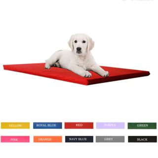 Caminha Colchonete Impermeável Para Cães - Uso Dentro e Fora de Casa - 70x50cm - Espuma 2cm - Capa Removivel
