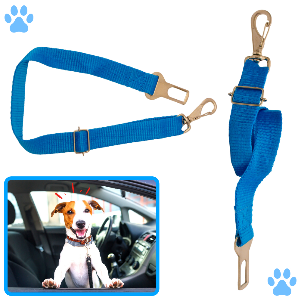 Cinto De Segurança Viagem E Passeio De Nylon Para Cachorro - Médio ...