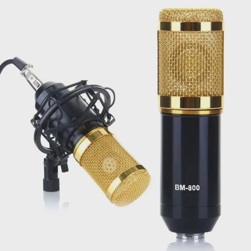 Kit Microfone Profissional Completo Bm800 Dourado com Pop Filter Aranha Braço Articulado