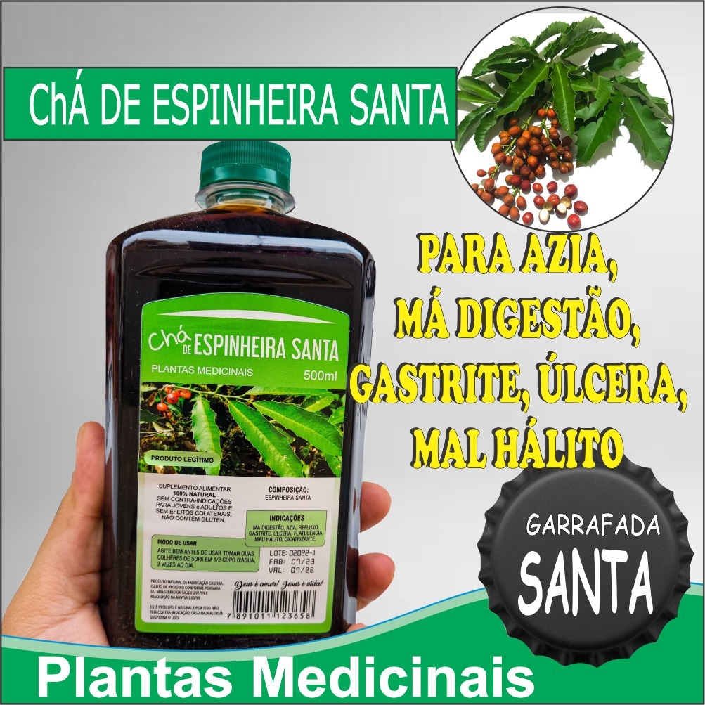 Gastrite - Refluxo - Azia - Chá de Espinheira Santa - planta ...