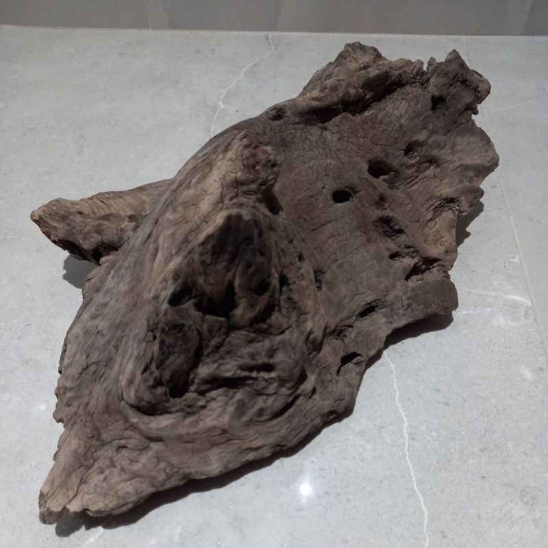 tronco toca tratado para aquário,casa,decoração(N26)