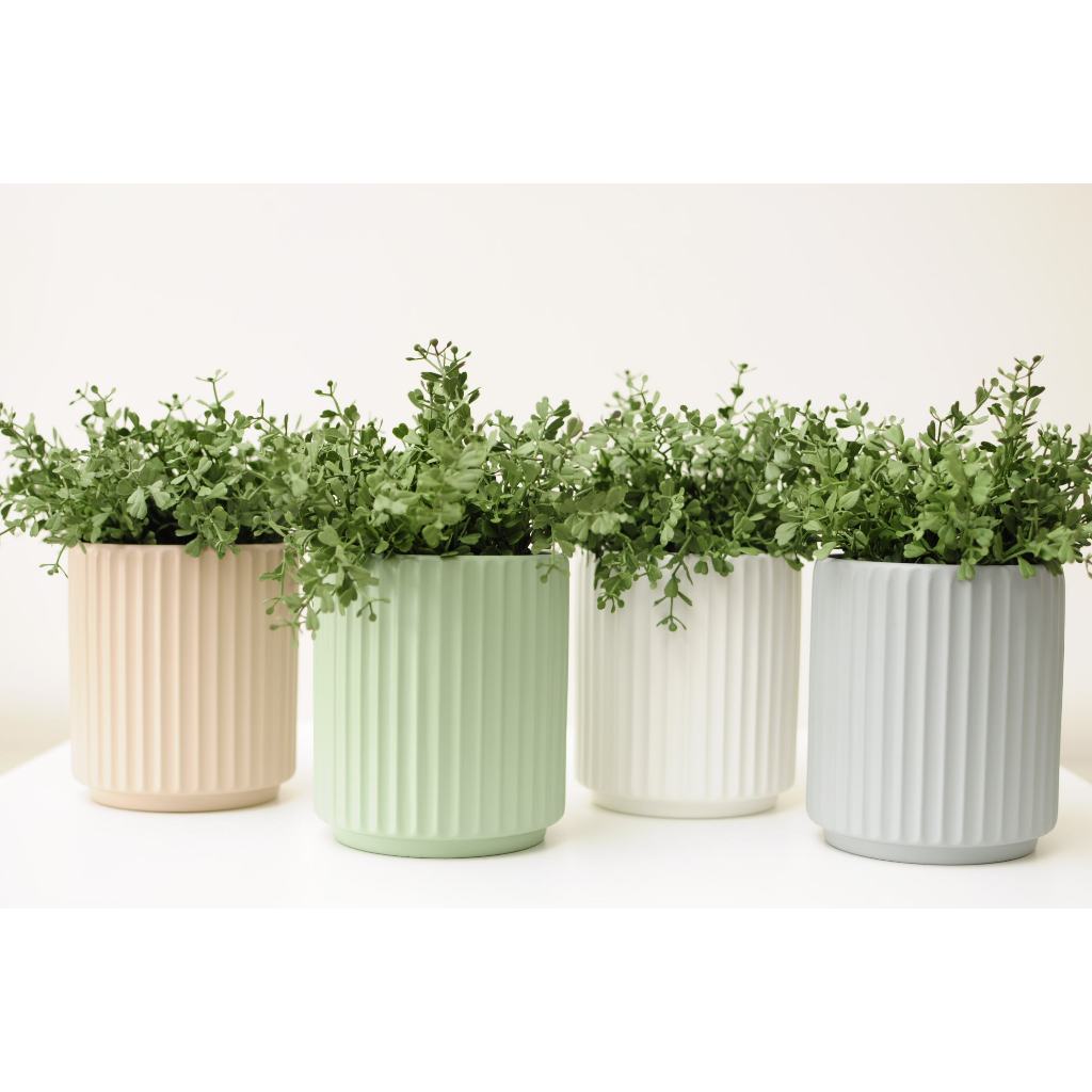 Vaso Decorativo Cerâmica - Cinza Branco Verde ou Rose - com ou sem plantas - Decoração