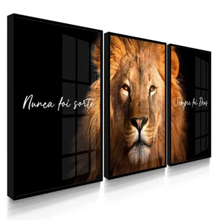 Quadros Decorativos Nunca foi sorte Sempre Foi Deus Com Vidros