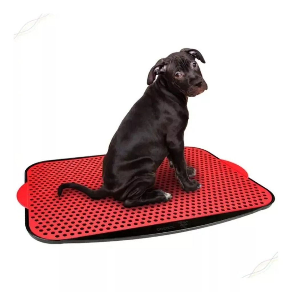 Tapete Para Cães Fazer Xixi Higienico Lavavel Sanitário | Shopee Brasil