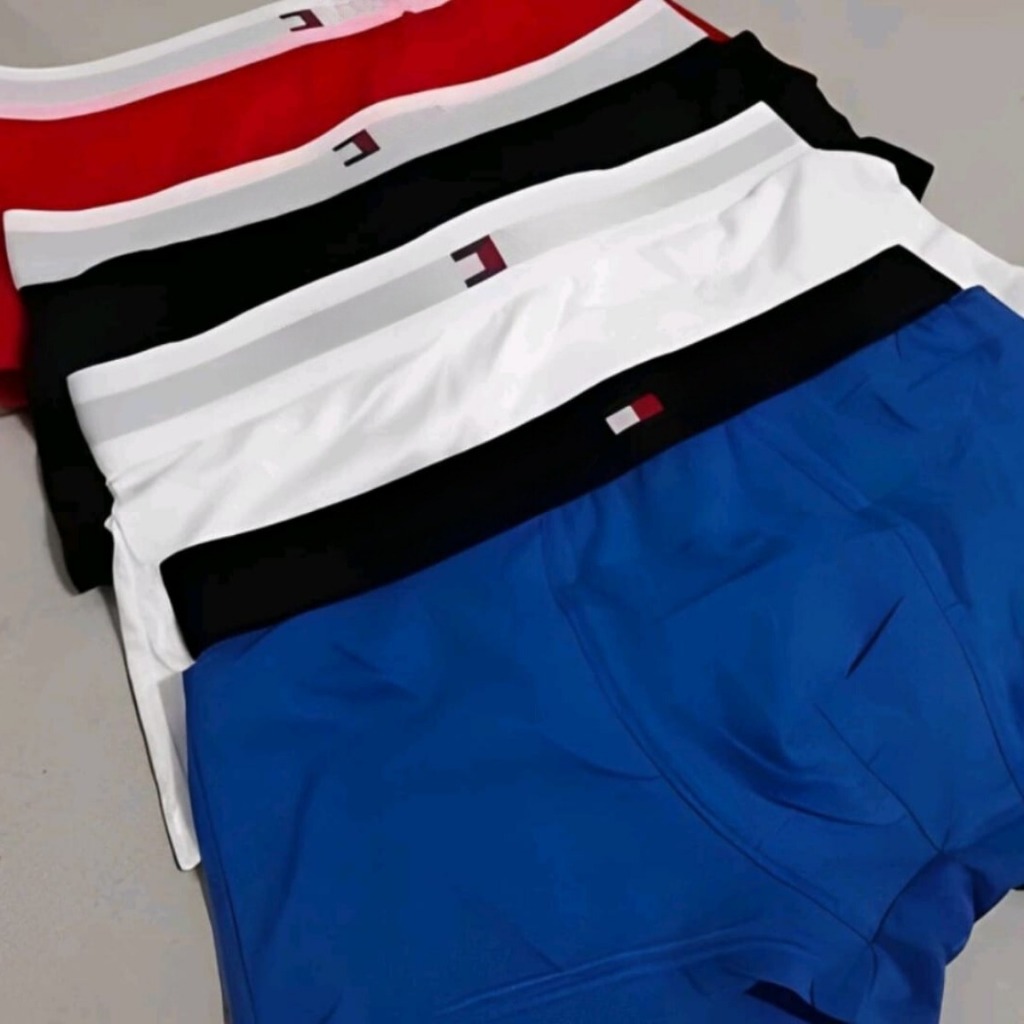 Kit 10 Cuecas Box Boxer Masculina 10 Cueca Adulto Poliester Lisas