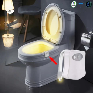 Luz Abajur Vaso Sanitário Lightbowl Led Com 8 Cores Toilet Gestante Pacientes Hospital Sensor De Presença