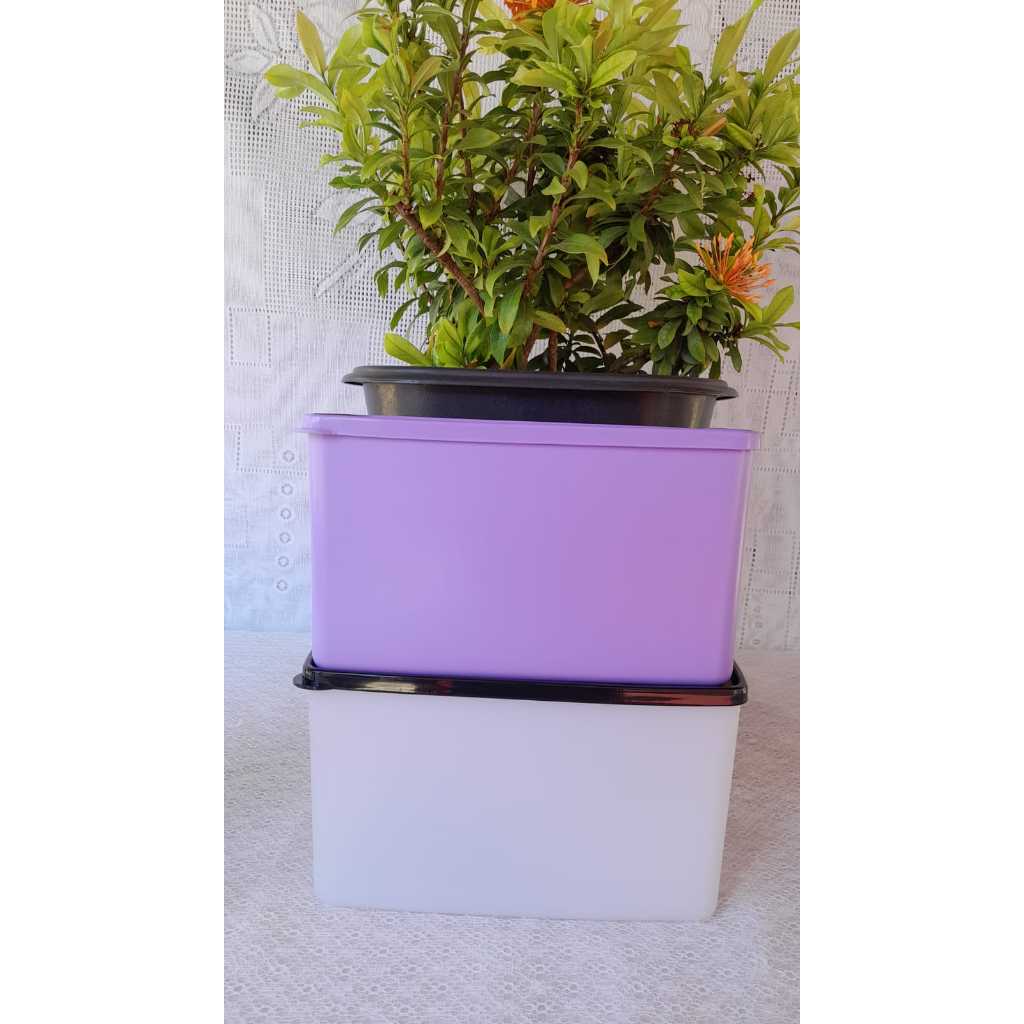 TUPPERWARE ESPACOSA DEEP DOUBLE DINER BLACK E LILAS 3L | Shopee Brasil