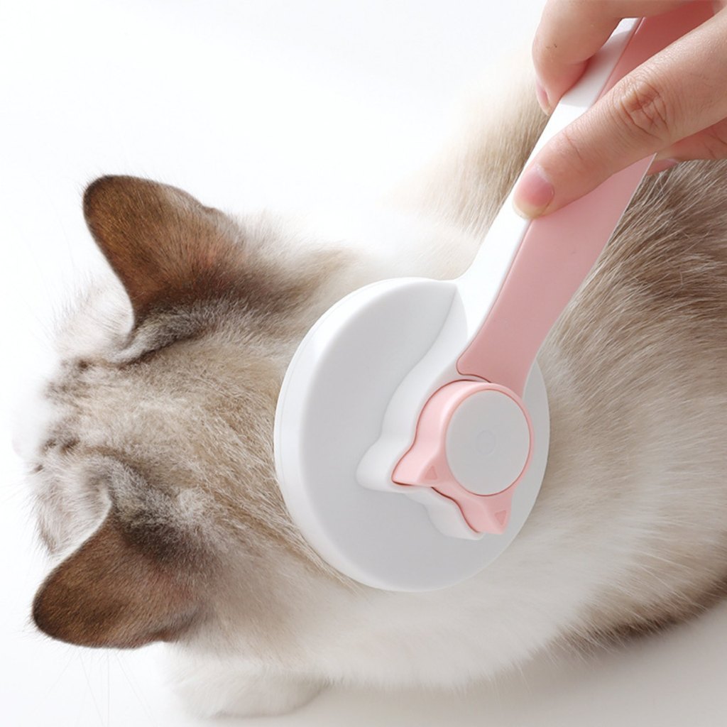 Escova Para Pentear Gato | Shopee Brasil