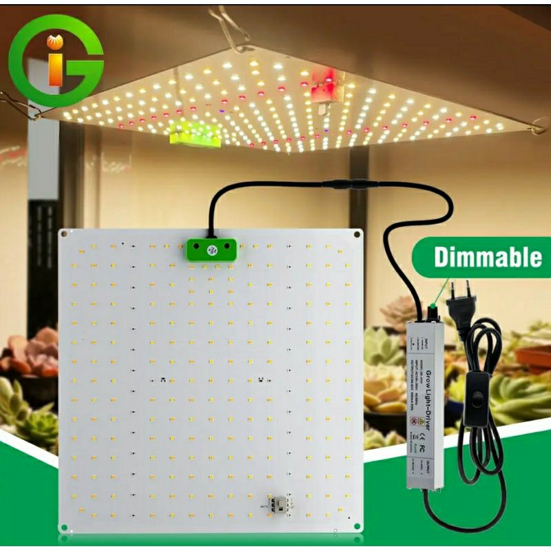 Led Grow Quantum Board LM281B 65w para plantas indor Estufa | Shopee Brasil