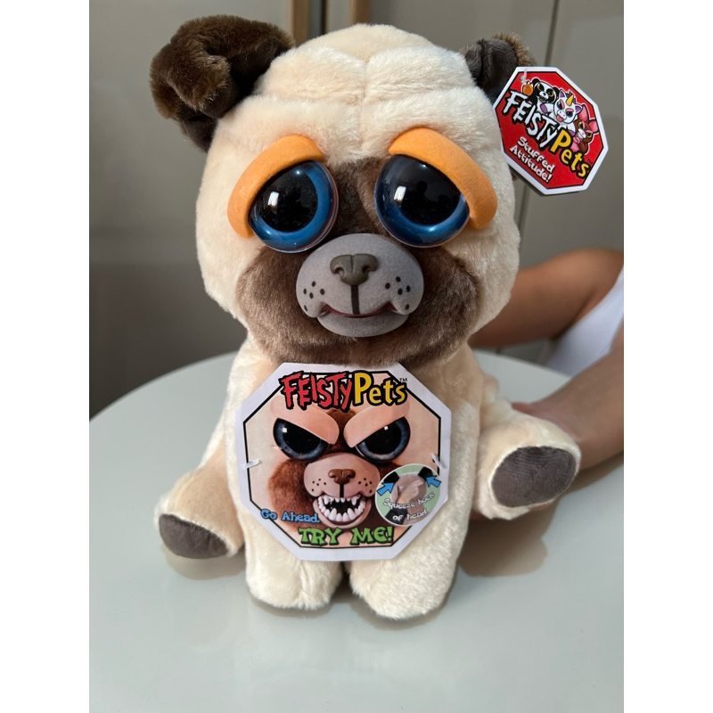 Feisty pets sale pug