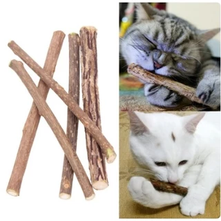 Vara Graveto Erva Do Gato Catnip Matatabi Limpa Dentes Deixa o Pet Feliz Brinquedo De Gato