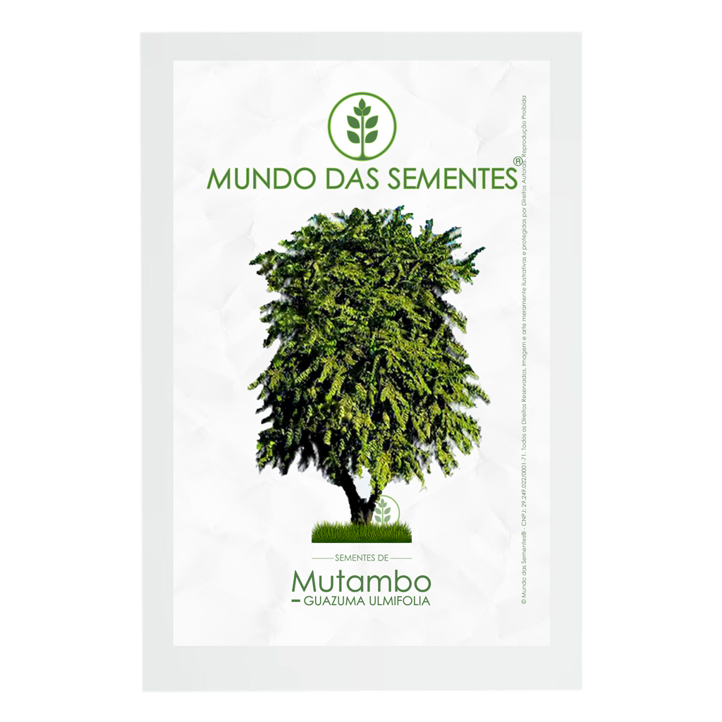 100 Sementes de Mutambo Guazuma Ulmifolia | Premium | Mundo Das ...