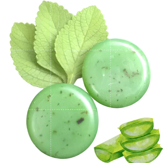 shampoo sólido antiqueda aloe vera