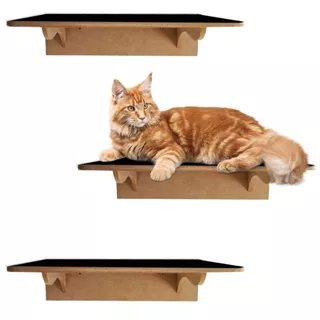 Kit Playground com 3 Prateleira Para Gato grande Maine Coon