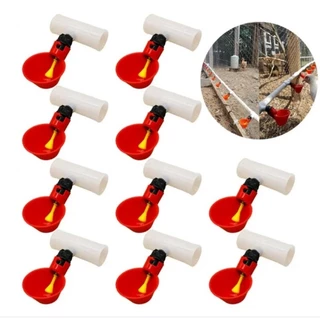 kit 10 bebedouro automático copinho copo para aves + conexão T