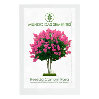 20 Sementes de Resedá Rosa Lagestroemia indica var. rosea | Premium | Mundo Das Sementes®