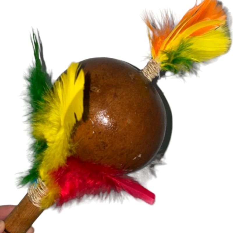 maracá chocalho indígena