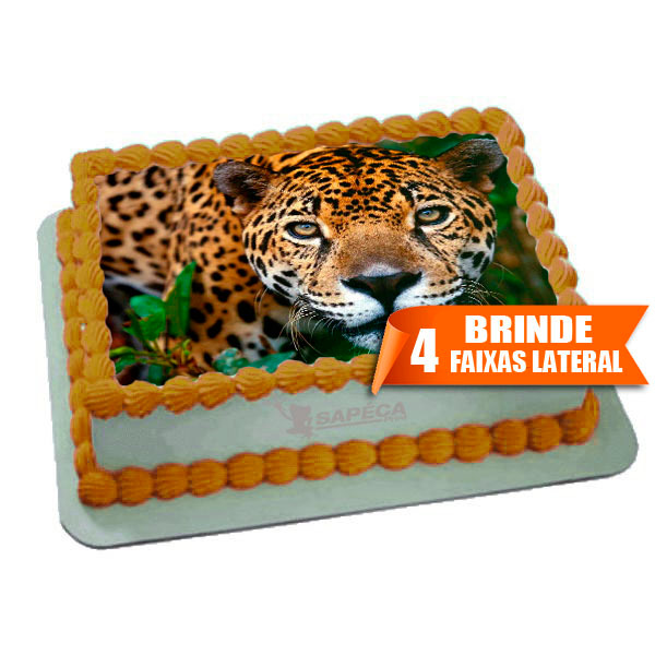 Bolo de Onça - Comprar com Melhor Preço em Padaria