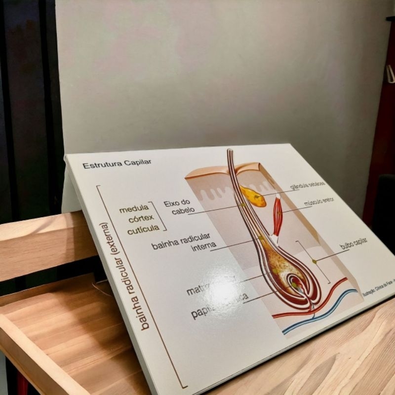 Painel Estrutura Capilar em MDF plotado | Shopee Brasil