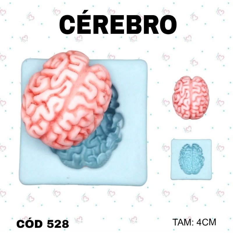 Molde de Silicone Cérebro --CÓD 528