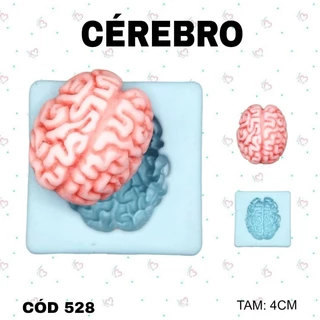 Molde de Silicone Cérebro --CÓD 528