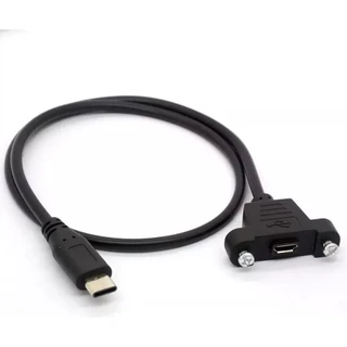 Cabo Extensor Usb Tipo C 3.1 Para Painel Com Parafuso Cor Preto