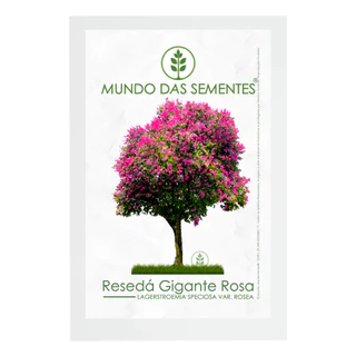 30 Sementes de Resedá Gigante Rosa Lagerstroemia Speciosa var. Rosea | Premium | Mundo Das Sementes®