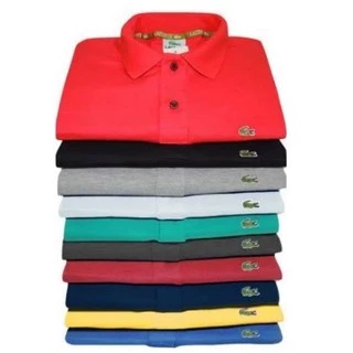 kit 5 Camisa Polo Lacoste Básica P M G GG 100% Algodão Premium Envio Imediato - Queima De Estoque