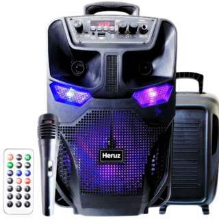 Caixa de Som Alto Potente p10 Instrumento ou Microfone Karaoke Grande Potente 2000w