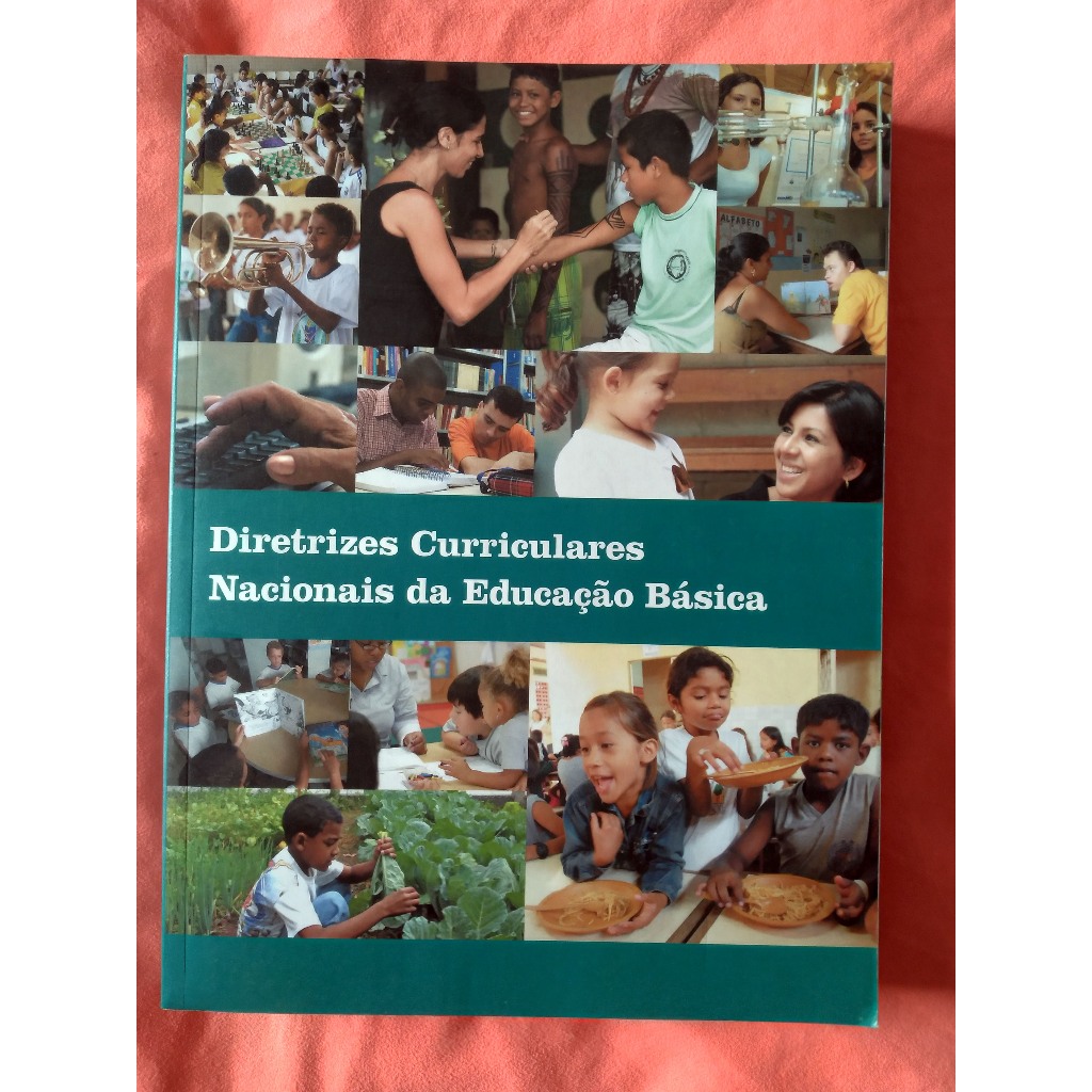 DIRETRIZES CURRICULARES NACIONAIS DA EDUCAÇÃO BÁSICA | Shopee Brasil