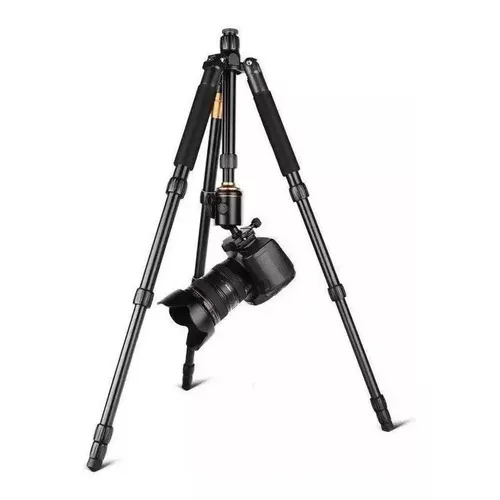 Tripé Professional Qzsd Q666