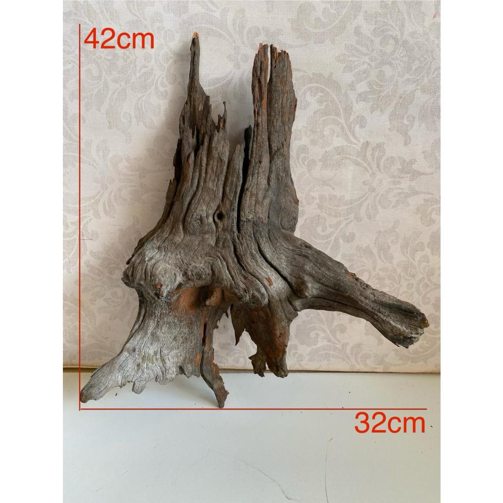 Tronco de aroeira, raiz, galho natural tronco para aquário, terrário, paludário