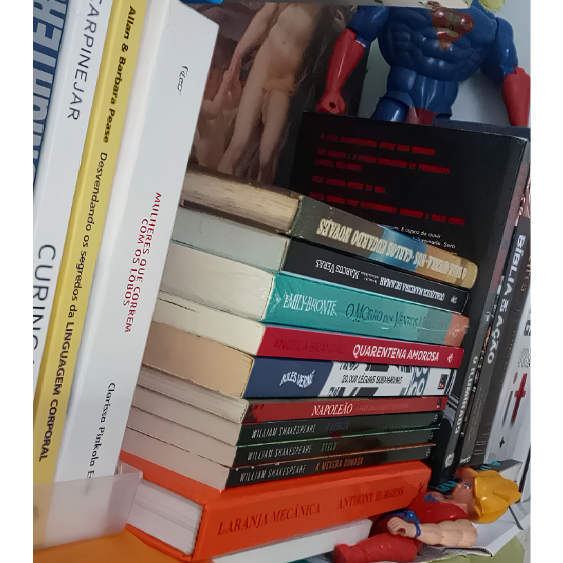 Livros diversos seminovos usados *promoção*