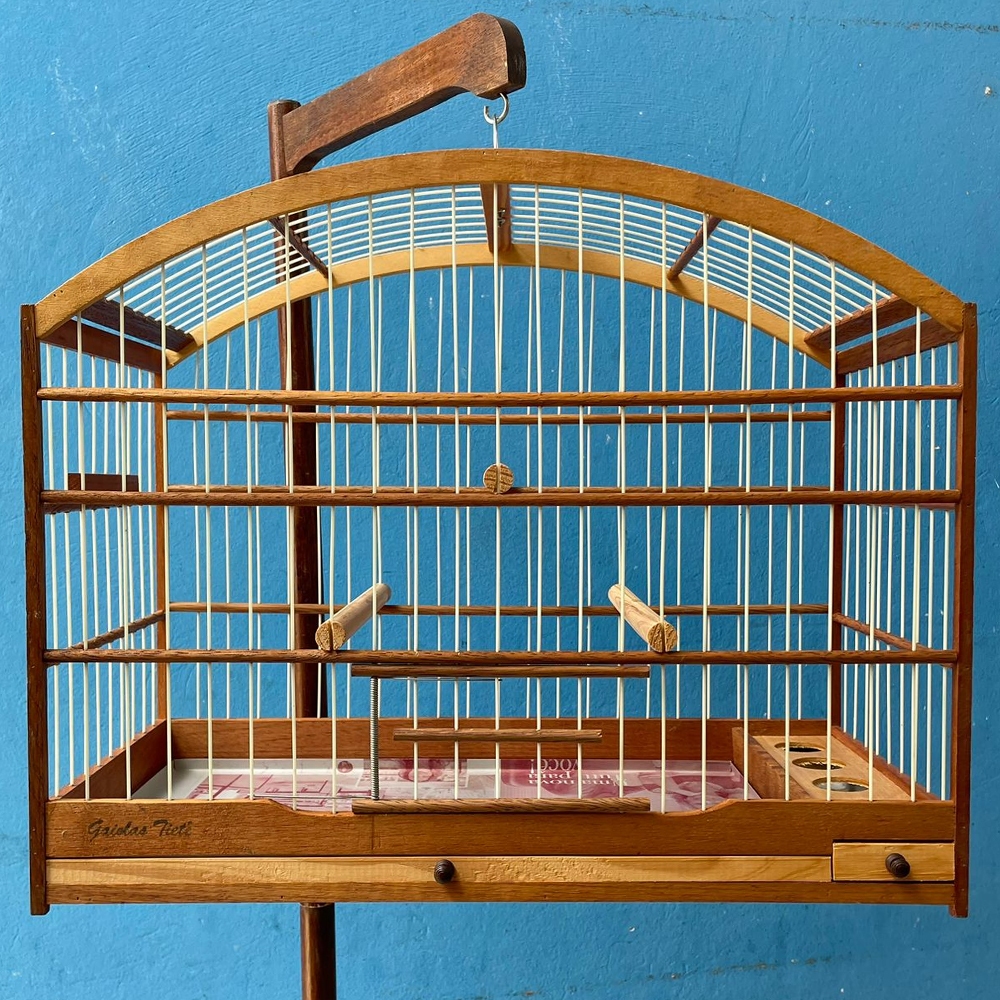 Fibra de Gaiola na Black Friday 2025 | BuscaProdutos