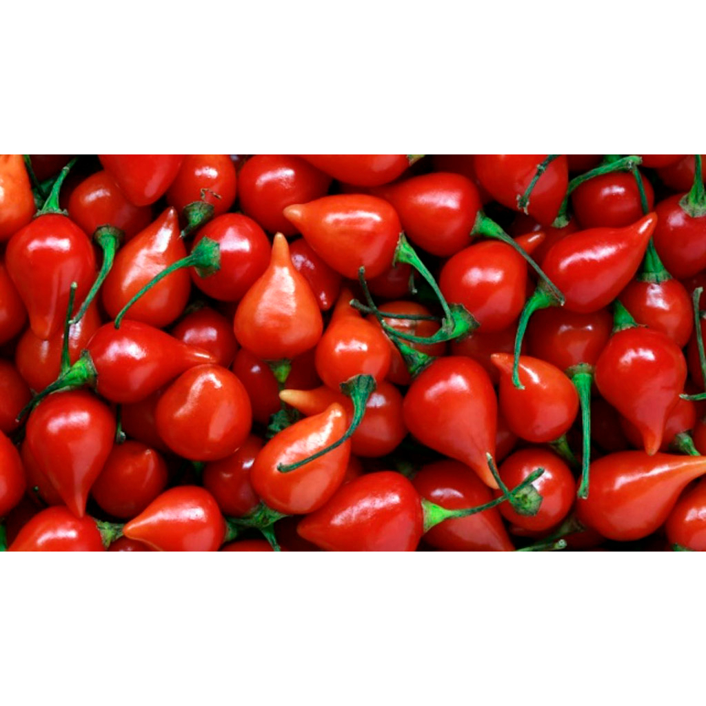 Pimenta Biquinho Orgânica