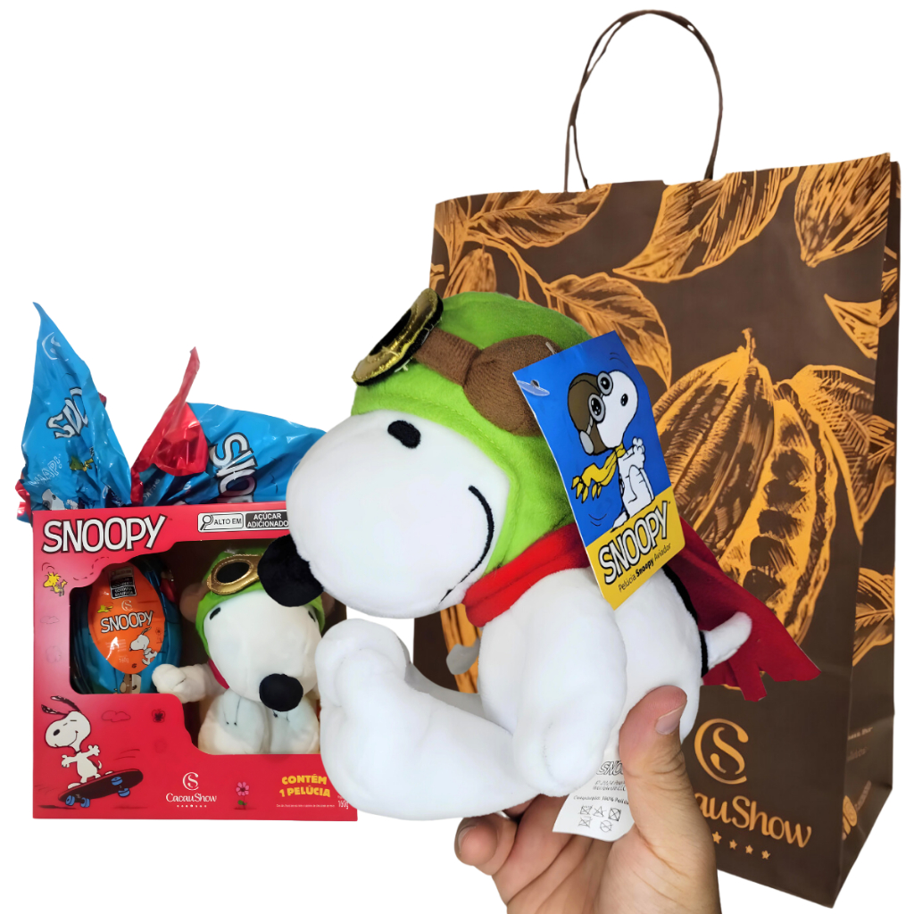 Ovo de Páscoa Snoopy Aviador 160g