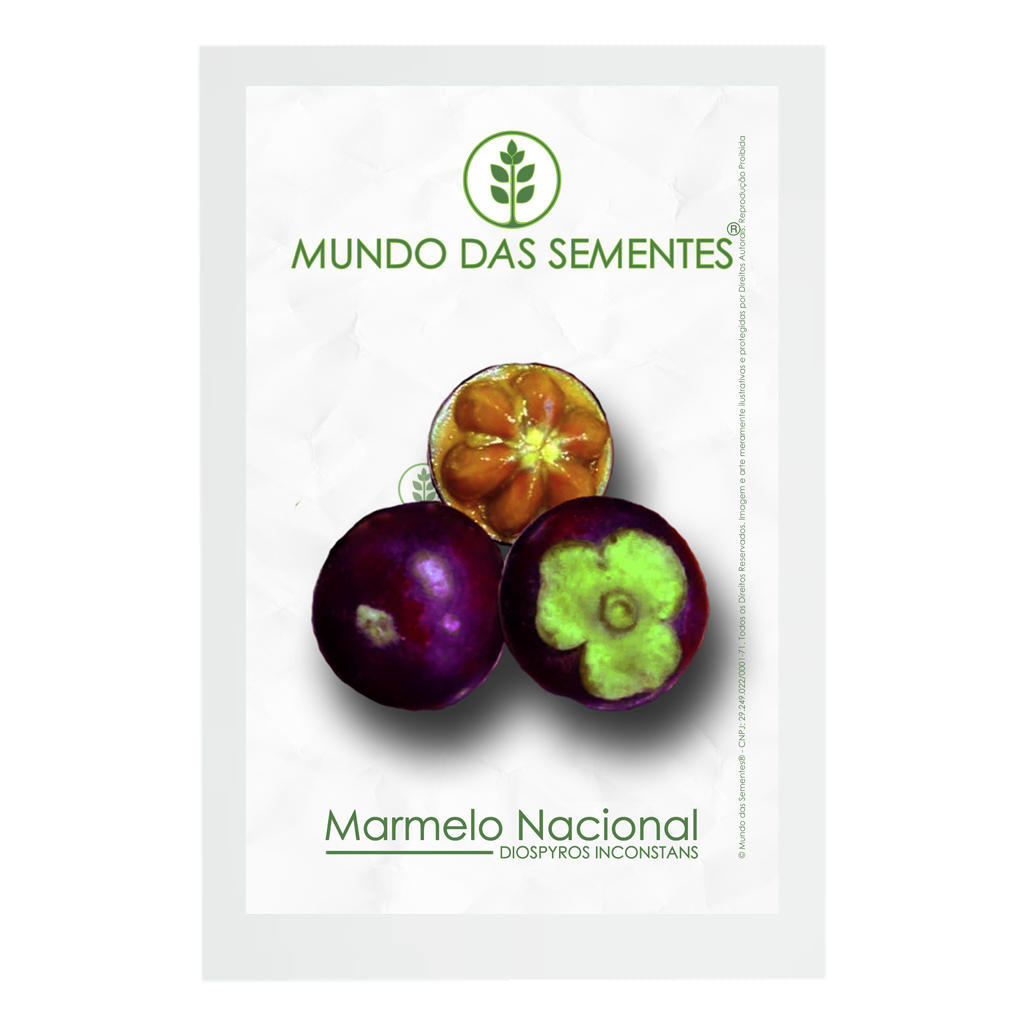 30 Sementes de Marmelo Nacional Diospyros inconstans | Premium | Mundo ...