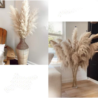 Capim Dos Pampas Decoração Loja Moderna Rustica Luxo 3 Hastes.