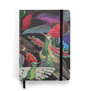 Caderno Sketchbook Beija-Flor Capa dura 14 x 21 cm 80 fls