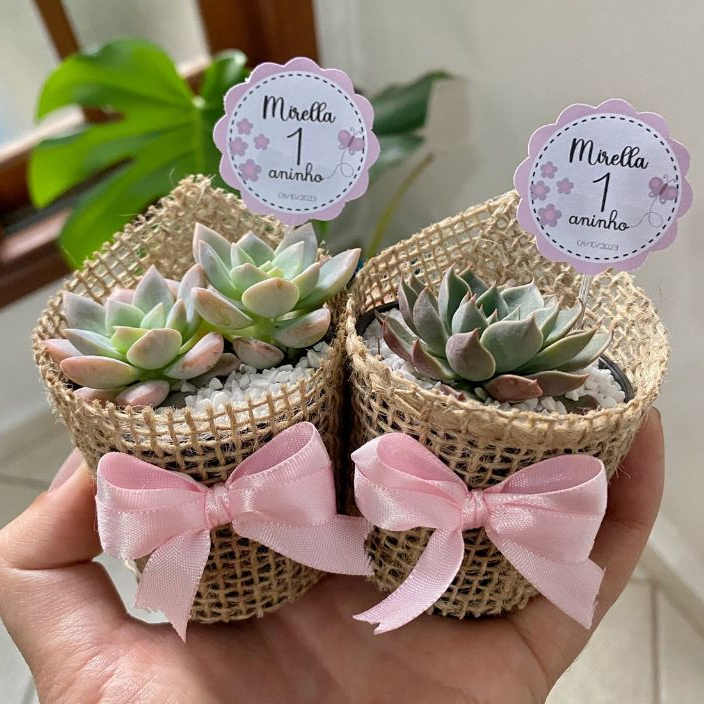 Embalagem de juta para mini suculenta pote 06 + Tag personalizada