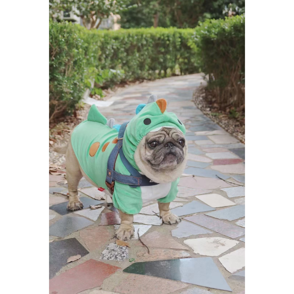 Roupa para cachorro pet inverno Roupa de frio - fantasia fofa de ...