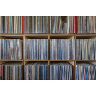 Lote 10 Disco de Vinil (LP) - Escolha O Género (Leia a Descrição)